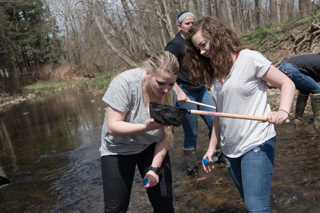 Students at the Canfield preserve doing stream clean up